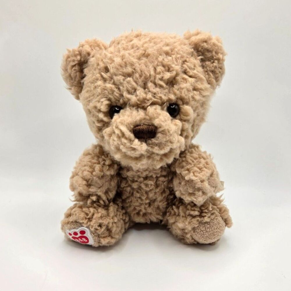 Build-A-Bear Workshop Mini Brown Curly Sherpa Teddy Bear Plush B-A-B Paw 12/18
